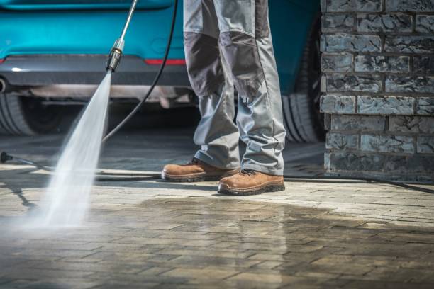 Best Sign and Awning Cleaning  in Dover, FL