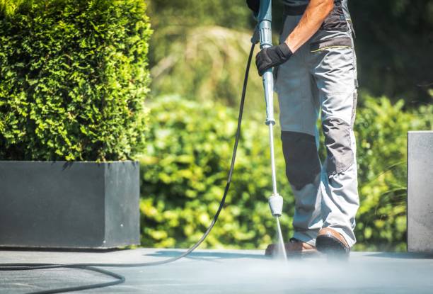 Best Paint Preparation  in Dover, FL